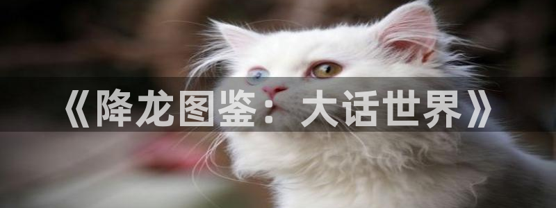 成人汗汗漫画：《降龙图鉴：大话世界》