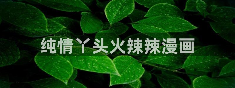 汗汗汗漫画sss：纯情丫头火辣辣漫画