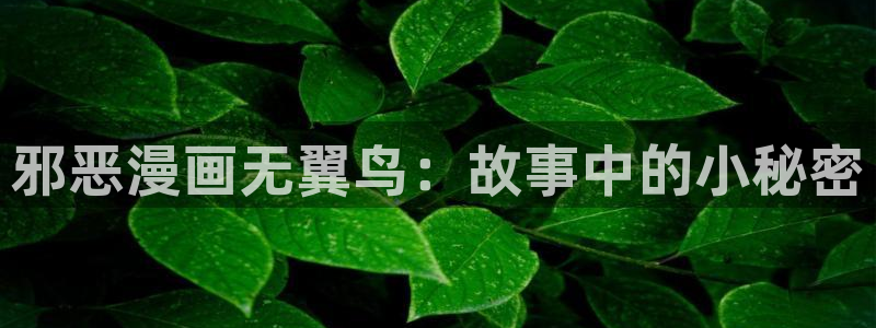 重考生汗汗漫画：邪恶漫画无翼鸟：故事中的小秘密