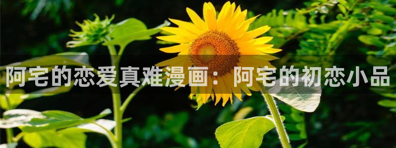汗汗漫画免费阅在线看：阿宅的恋爱真难漫画：阿宅的初恋小品