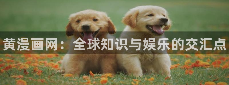 汗汗漫画之：黄漫画网：全球知识与娱乐的交汇点