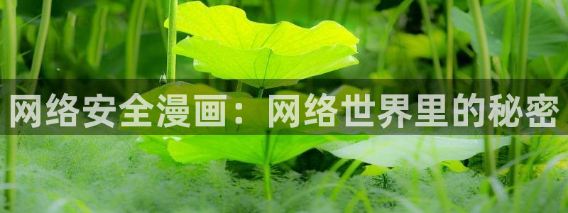 汗汗漫画……歪歪漫画：网络安全漫画：网络世界里的秘密