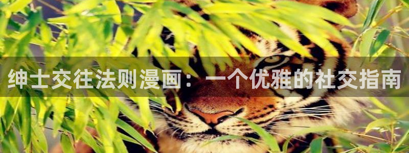 汗汗漫画在线观看免费漫画下拉式：绅士交往法则漫画：一个优雅的社交指南
