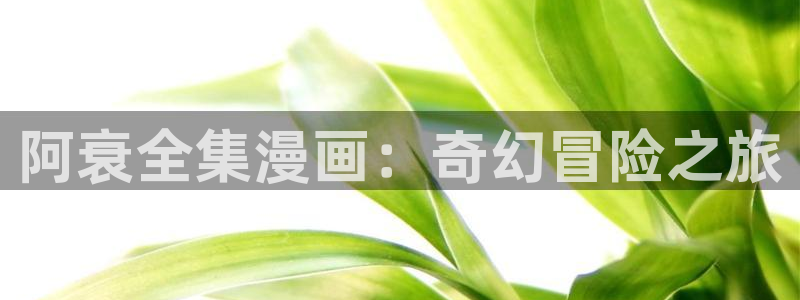 汗汗漫画最新网址：阿衰全集漫画：奇幻冒险之旅