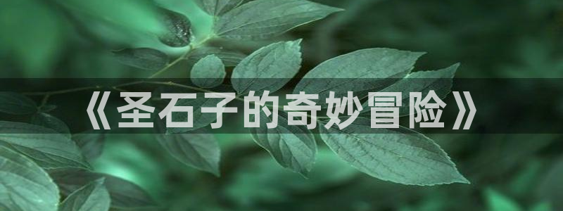 汗汗漫画画免费观看下拉式：《圣石子的奇妙冒险》