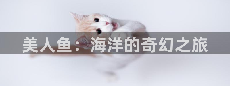 汗汗漫画免费阅读无限下拉式：美人鱼：海洋的奇幻之旅