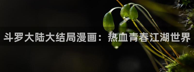 汗汗漫画私密教学：斗罗大陆大结局漫画：热血青春江湖世界