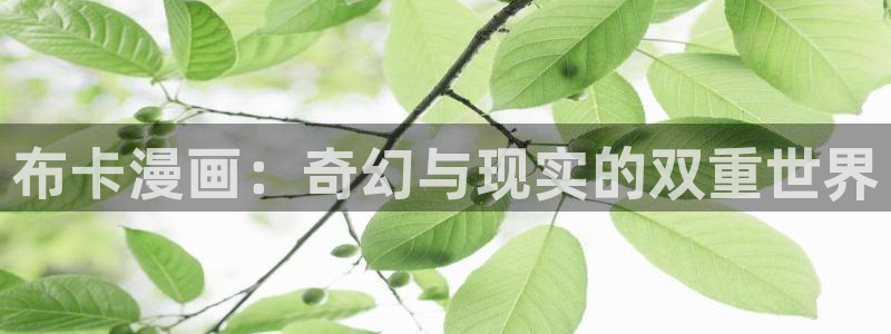 歪歪汗汗漫画网：布卡漫画：奇幻与现实的双重世界