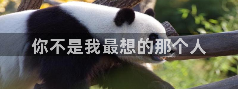 汗汗漫画在线阅读页面漫画入口页面破解版苹果漫画大全：你不是我最想的那个人