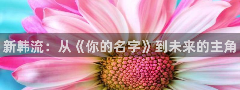 汗汗漫画网站免费：新韩流：从《你的名字》到未来的主角