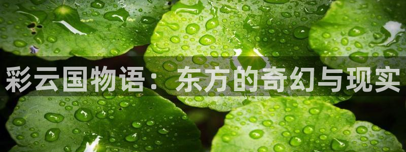 羞羞漫画成人汗汗漫画嘿嘿漫画：彩云国物语：东方的奇幻与现实